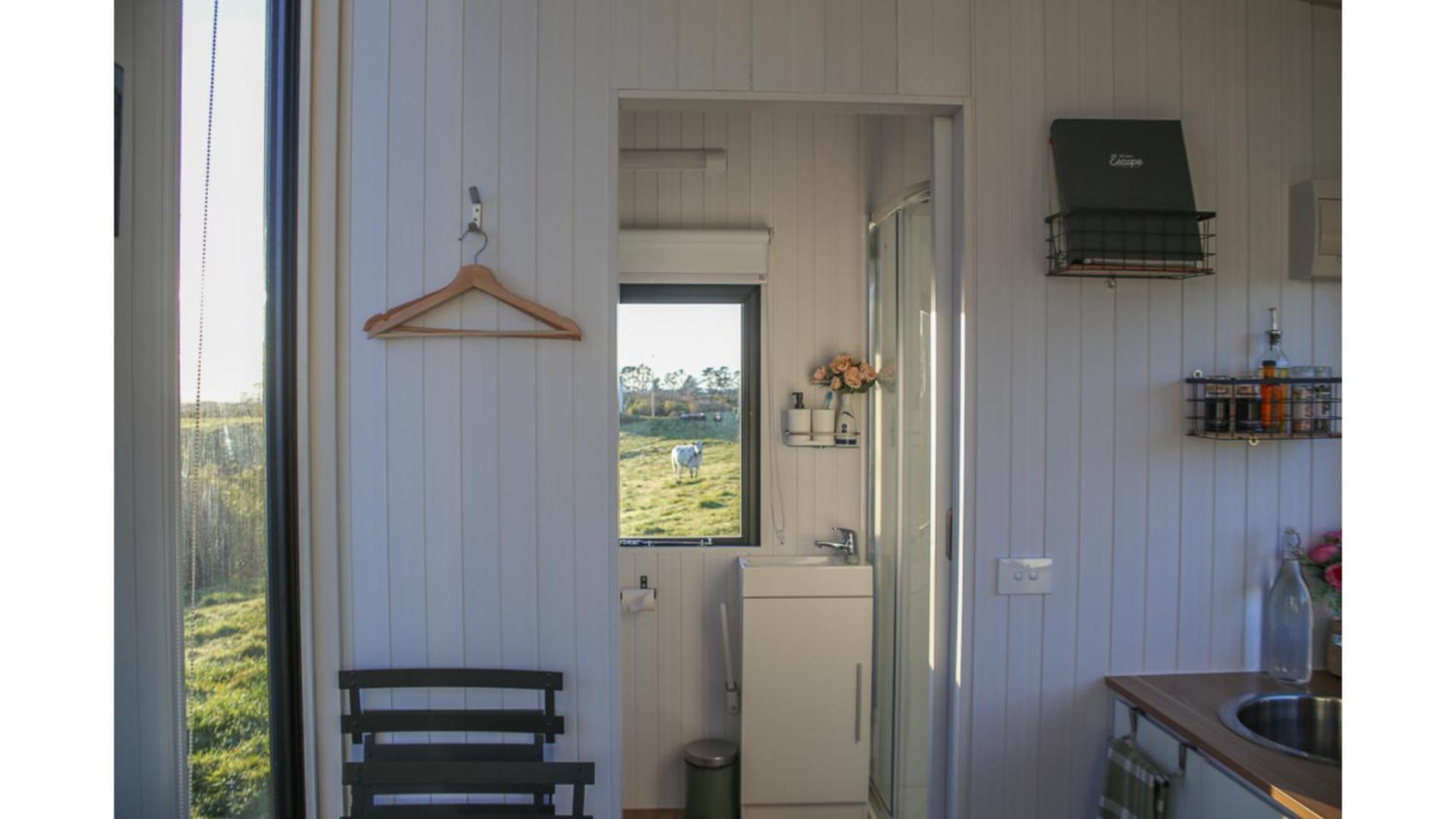 Taranaki Creekside Kea By Tiny Away Villa Stratford Exterior foto