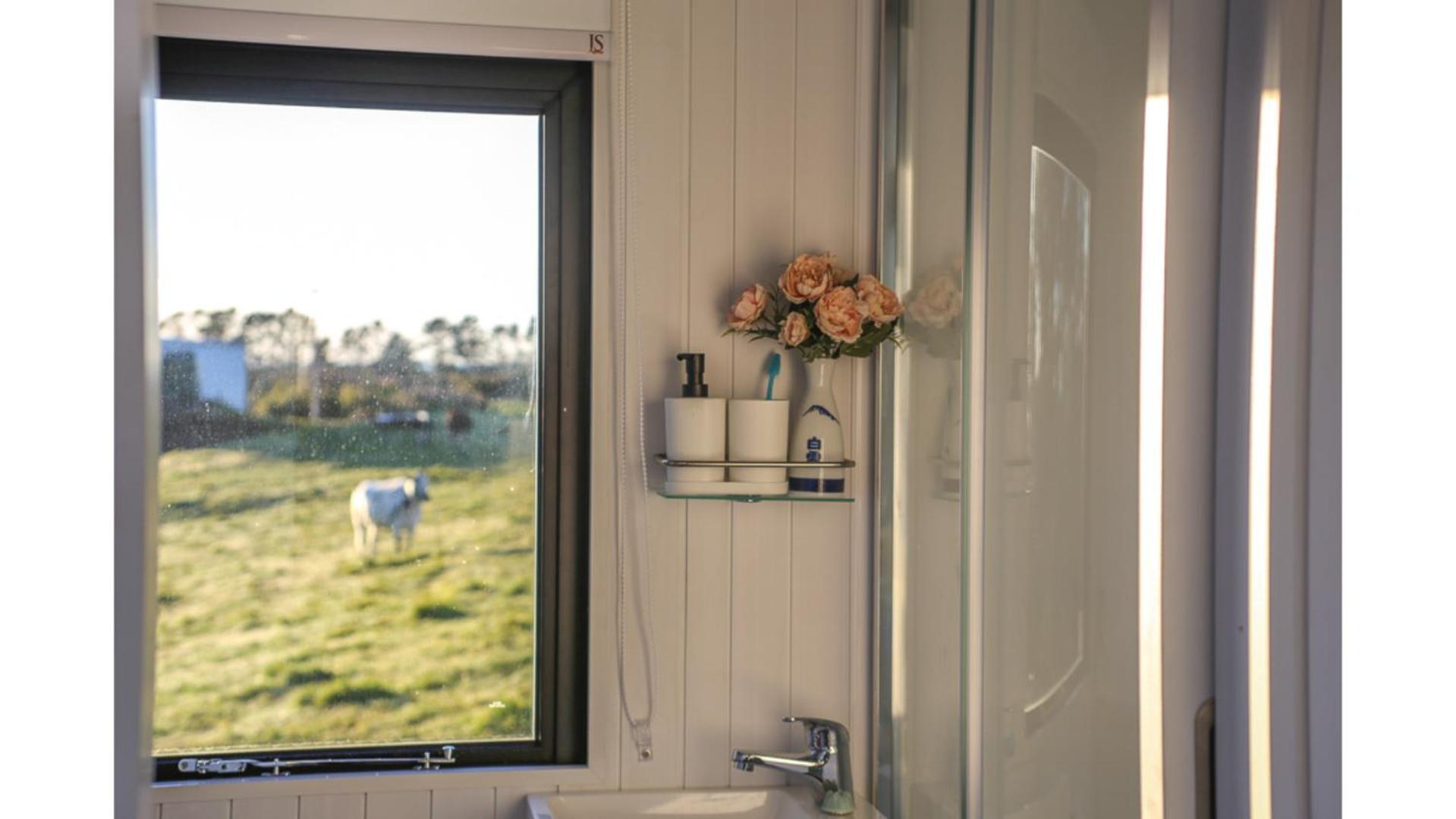 Taranaki Creekside Kea By Tiny Away Villa Stratford Exterior foto